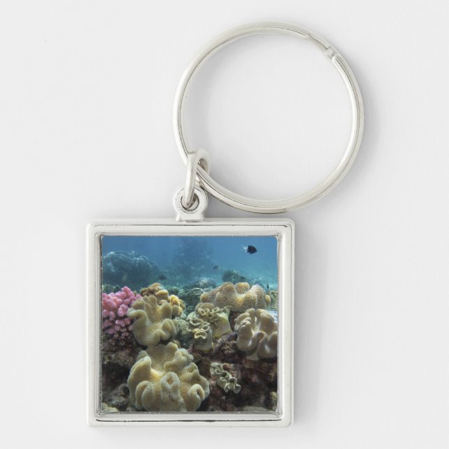 Coral, Agincourt Reef, Great Barrier Reef, Key Ring (Front)