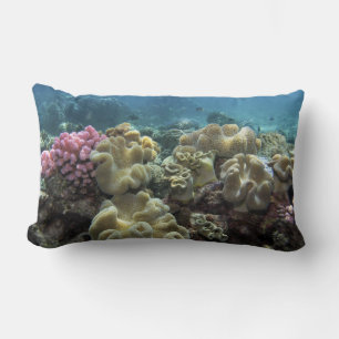 Coral, Agincourt Reef, Great Barrier Reef, Lumbar Cushion