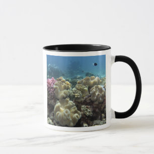Coral, Agincourt Reef, Great Barrier Reef, Mug