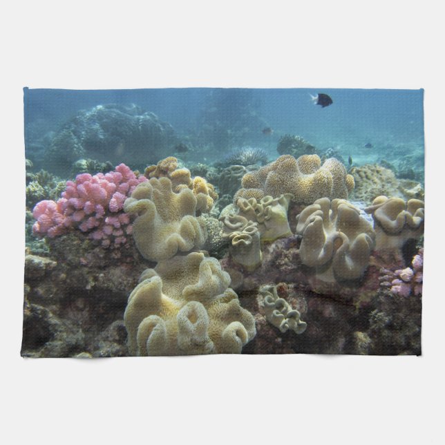 Coral, Agincourt Reef, Great Barrier Reef, Tea Towel (Horizontal)