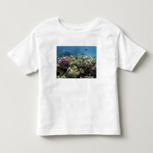 Coral, Agincourt Reef, Great Barrier Reef, Toddler T-Shirt