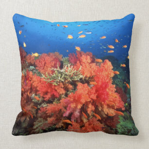 Coral and fish cushion