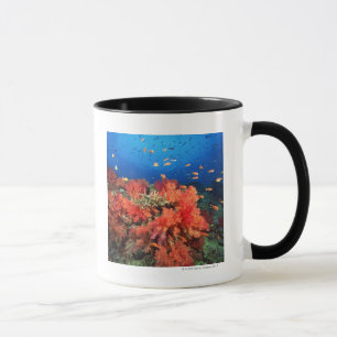 Coral and fish mug