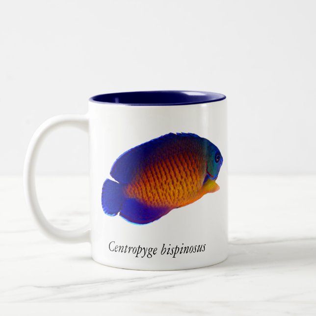 Coral Beauty Angelfish - Centropyge bispinosus Mug (Left)