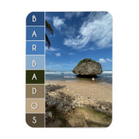 Coral Boulder - Bathsheba, Barbados
