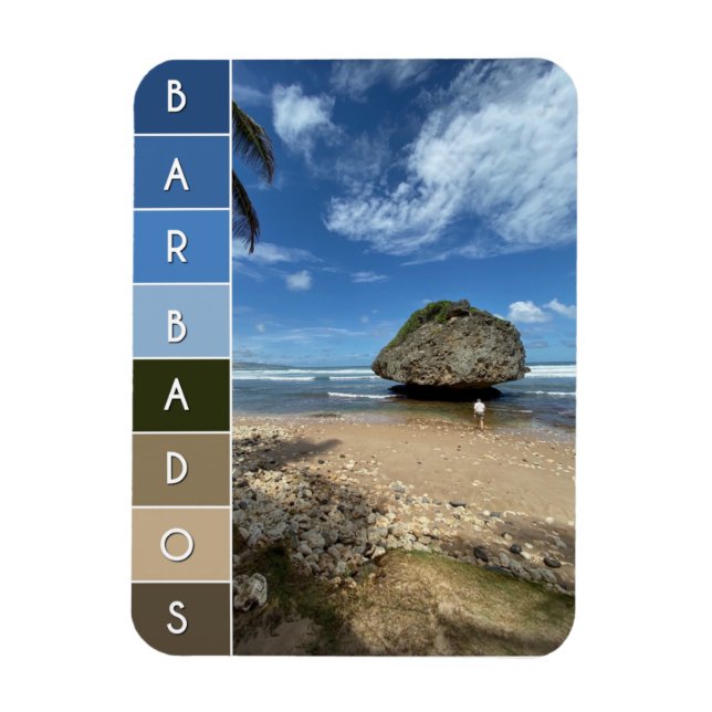 Coral Boulder - Bathsheba, Barbados Magnet (Vertical)