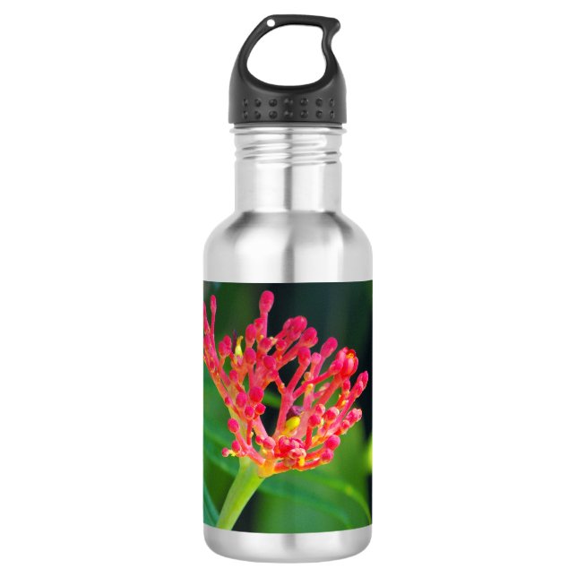 Coral Bush in bloom 710 Ml Water Bottle (Front)