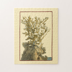 Coral by the Sea Jigsaw Puzzle
