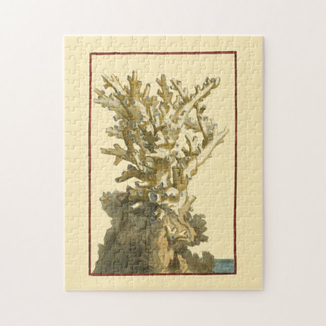 Coral by the Sea Jigsaw Puzzle (Vertical)
