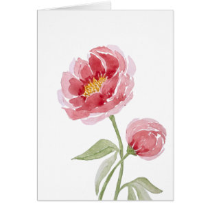 coral charm peony watercolor