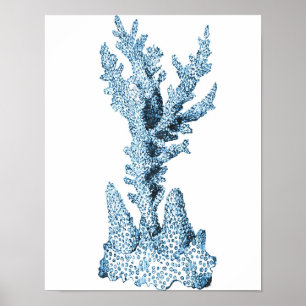 Coral coastal nautical ocean beach sea blue poster