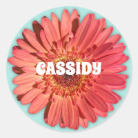 Coral Coloured Gerbera Daisy Photo Mint Green