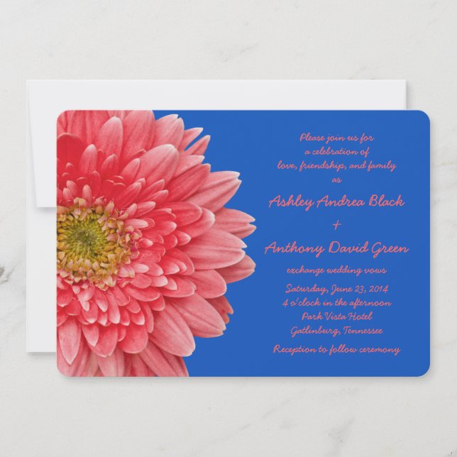 Coral Gerbera Daisy Royal Blue Wedding Invitation (Front)