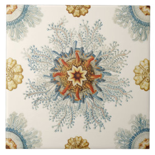 Coral Mandala Pattern Ceramic Tile