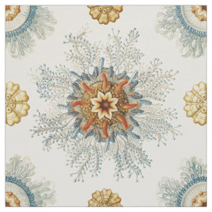 Coral Mandala Pattern Fabric