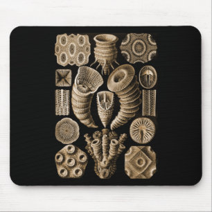 Coral Mouse Pad