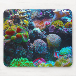 Coral Mouse Pad
