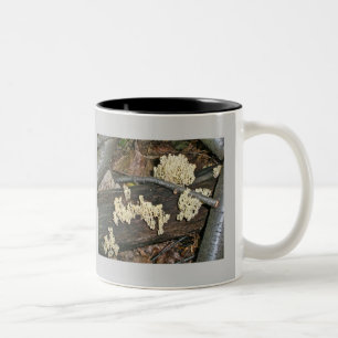 Coral Mushroom Coordinating Items Two-Tone Coffee Mug