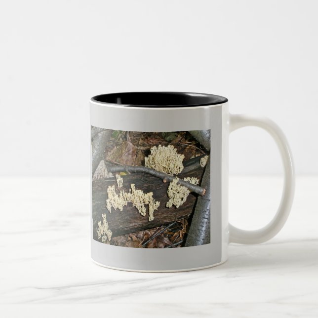 Coral Mushroom Coordinating Items Two-Tone Coffee Mug (Right)