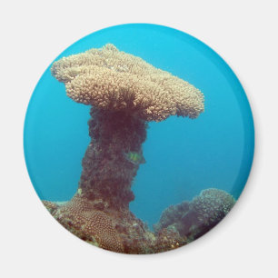 Coral Mushroom Magnet