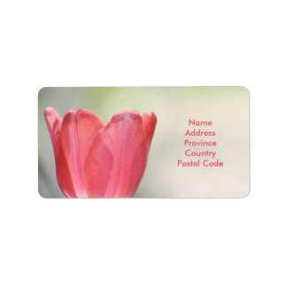 Coral Pink Garden Tulip Label