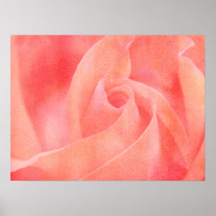 Coral Pink Rose Floral Art Photography Poster