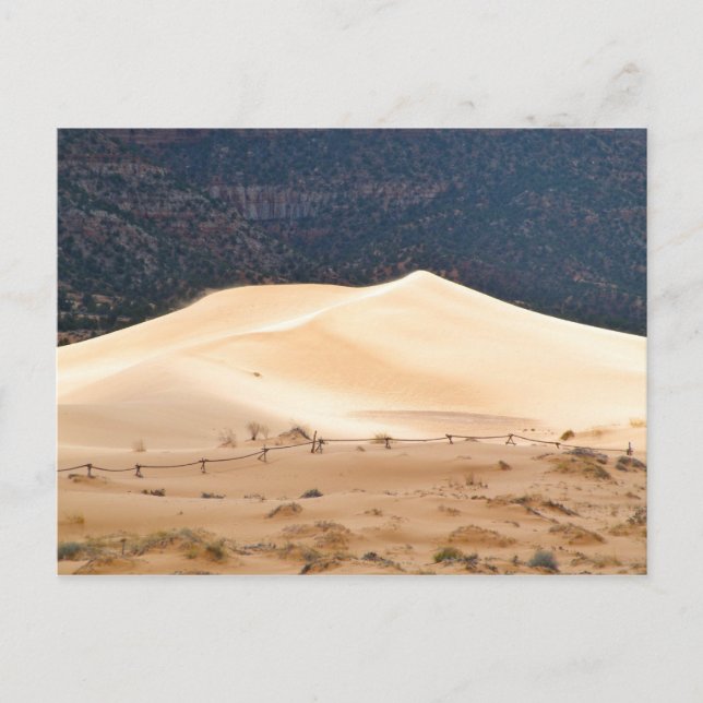 Coral Pink Sand Dunes Postcard (Front)
