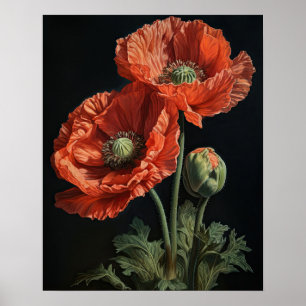 Coral Poppy Flowers Art Print Poster