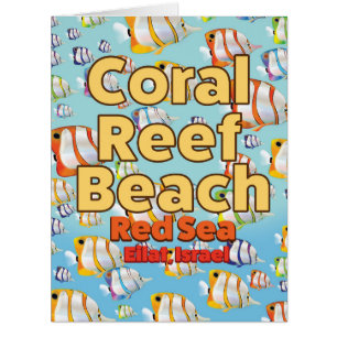 Coral reef Beach Eilat, Israel