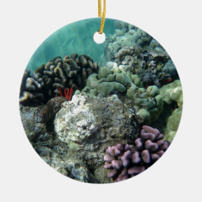 Coral reef ceramic ornament (Front)
