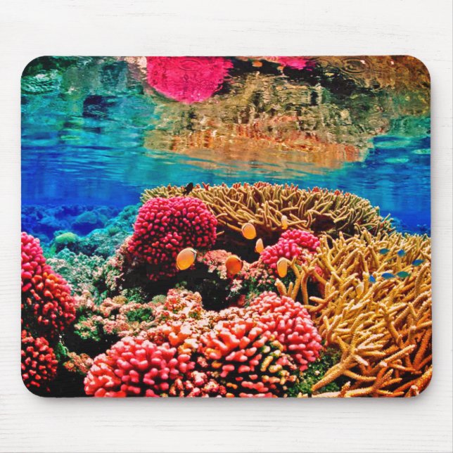 Coral reef colourful ocean life mouse pad (Front)
