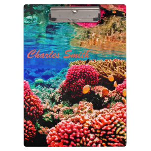 Coral reef colourful ocean underwater  clipboard