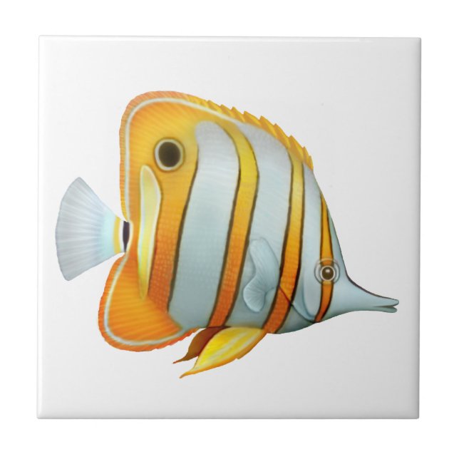 Coral Reef Copperband Butterfly Fish Tile (Front)