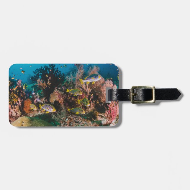 Coral Reef custom luggage tag (Front Horizontal)