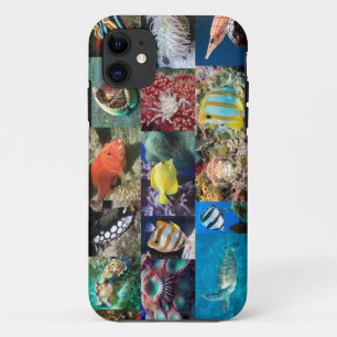 Coral Reef Fish Animals for Marine Life Pros iPhone 11 Case