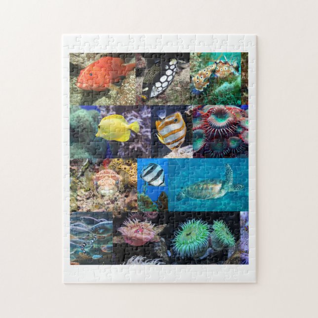 Coral Reef Fish Animals Photos, Age 8, 252 Pieces Jigsaw Puzzle (Vertical)