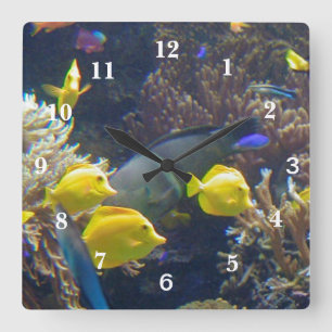 Coral Reef Fish Square Wall Clock