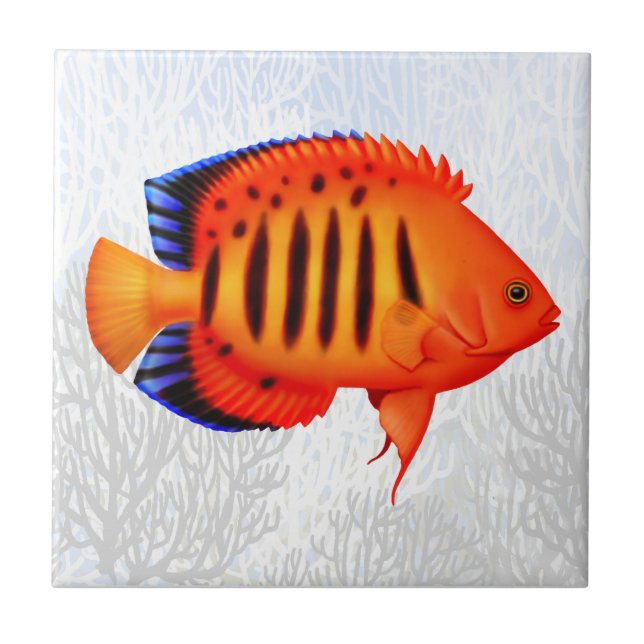 Coral Reef Flame Angelfish Tile (Front)