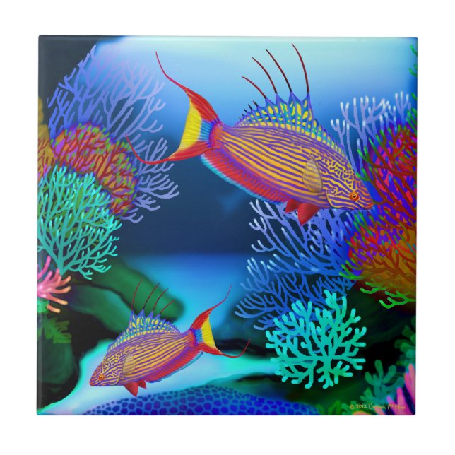 Coral Reef Flasher Wrasse Fish Tile (Front)