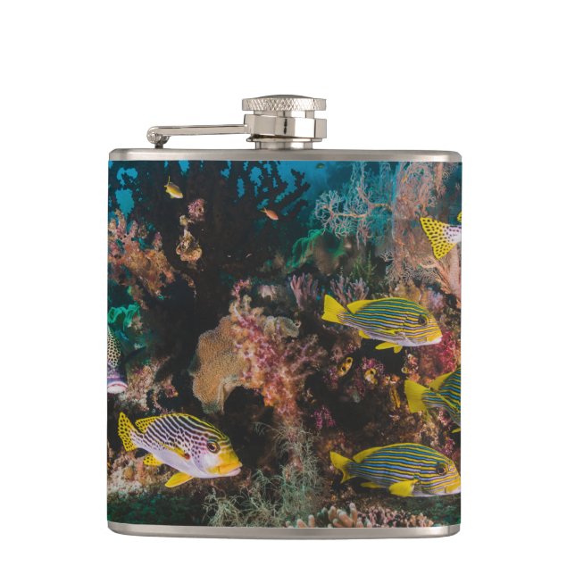 Coral Reef flask (Front)
