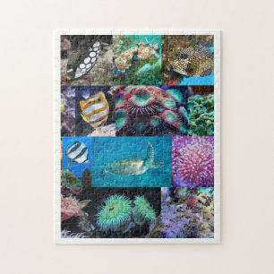 Coral Reef Marine Fish Animals, Age 8, 252 Pieces Jigsaw Puzzle