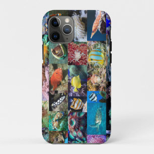 Coral Reef Marine Fish Animals Educational Collage iPhone 11 Pro Case