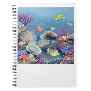 Coral Reef notebook