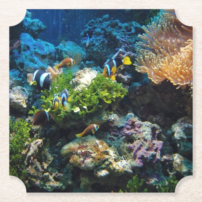 Coral Reef paper coasters (Front)