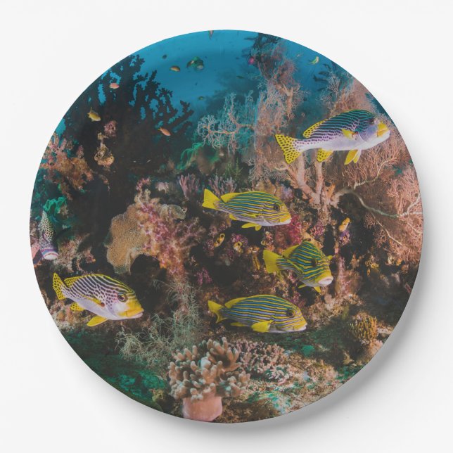 Coral Reef paper plates (Front)