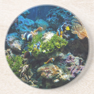 Coral Reef sandstone coaster
