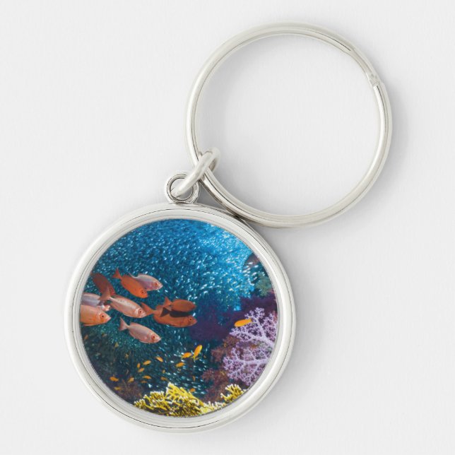 Coral Reef Scenery | Bigeye Or Goggle-Eye Key Ring (Front)