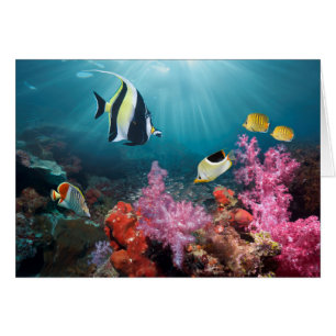 Coral Reef Scenery Moorish Idol