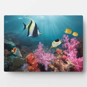 Coral Reef Scenery Moorish Idol Plaque