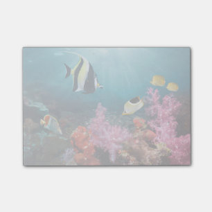 Coral Reef Scenery Moorish Idol Post-it Notes